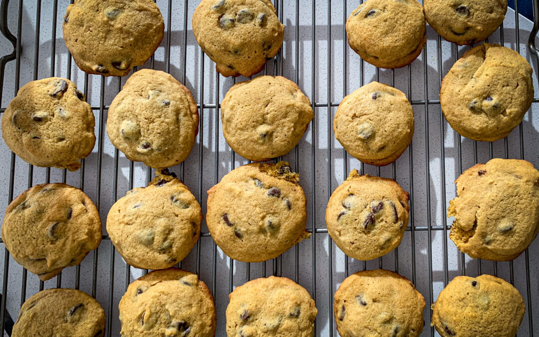 pumpkin chocolate chip cookies