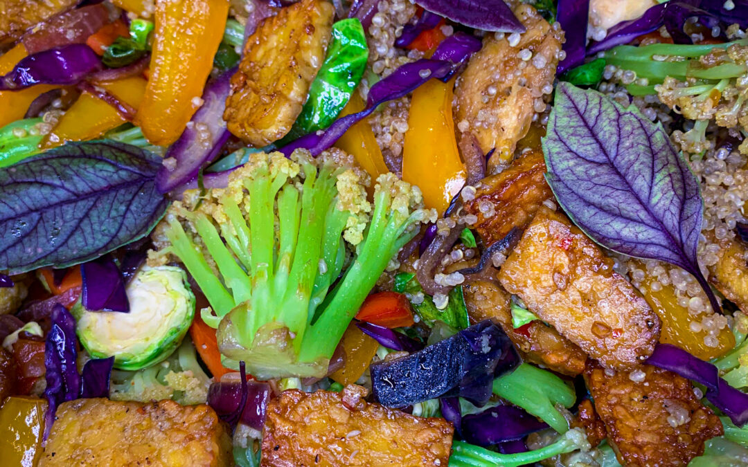 Tempeh Vegetable Stir Fry with Ginger Garlic Soy Sauce